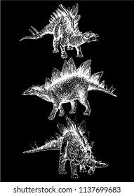 Graphical set of dinosaurs isolated on black  background , engraved sketch of stegosaurus