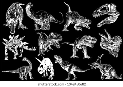 Graphical set of dinosaurs isolated on black background,vector illustration