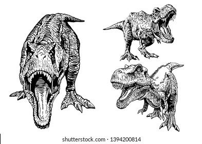 Graphical set of dinosaurs isolated on white , vector tyrannosauruses