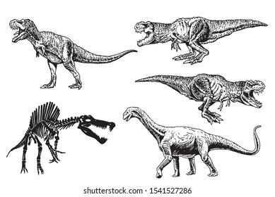 Graphical set of dinosaurs isolated on white background,vector illustration