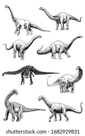 Graphical  set of dinosaurs isolated on white background,vector illustration