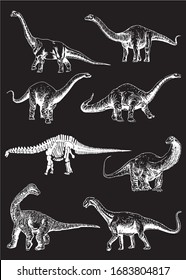 Graphical set of dinosaurs isolated on black background,vector  engraved  illustration