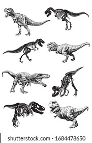 Graphical set of dinosaurs isolated on white background,vector illustration,paleontology