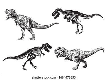 Graphical set of dinosaurs isolated on white background,vector illustration,paleontology