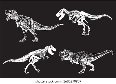 Graphical set of dinosaurs isolated on black background,vector illustration,paleontology
