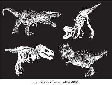 Graphical set of dinosaurs isolated on black background,vector illustration,paleontology