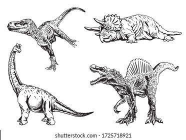 Graphical set of dinosaurs isolated on white bakground, vector illustration