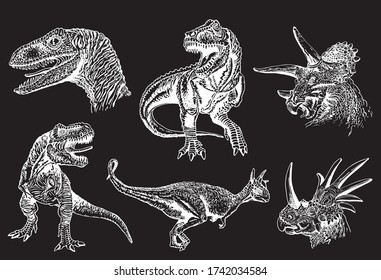 Graphical set of dinosaurs isolated on black background, vector engraved  illustration