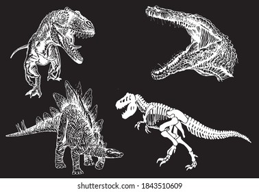 Conjunto gráfico de dinosaurios aislados en fondo negro, ilustración vectorial, elementos