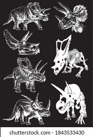 Graphical set of dinosaurs isolated on black background,vector engraved illustration,elements