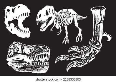 Graphical set of dinosaurs isolated on black background,vector engraved illustration