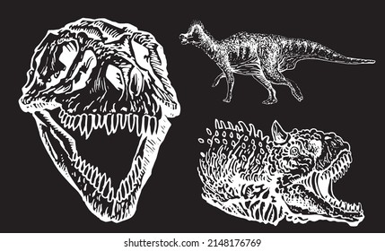 Graphical set of dinosaurs isolated on black background,vector engraved illustration for tattoo and printing