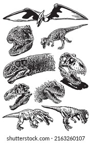 Graphical set of dinosaurs isolated on white ,vector elements,jurrasic perioud 