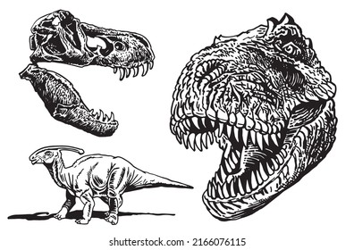 Graphical set of dinosaurs isolated on white ,vector elements,jurrasic perioud 