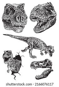 Graphical set of dinosaurs isolated on white ,vector elements,jurrasic perioud 