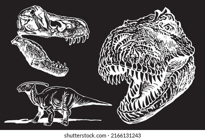 Graphical set of dinosaurs isolated on black ,vector engraved  elements,jurrasic perioud 