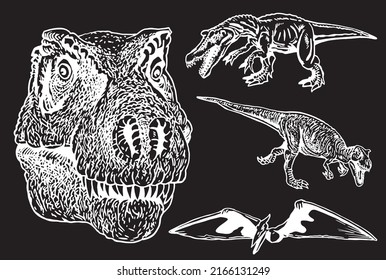 Graphical set of dinosaurs isolated on black ,vector engraved  elements,jurrasic perioud 