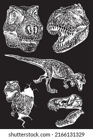 Graphical set of dinosaurs isolated on black ,vector engraved  elements,jurrasic perioud 