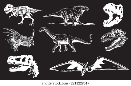 Graphical set of dinosaurs isolated on black background,vector engraved illustration 