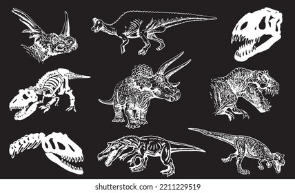 Graphical set of dinosaurs isolated on black background,vector engraved illustration 