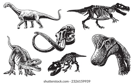 Graphical set of dinosaurs isolated on white background,vector illustration,tattoo  designs.