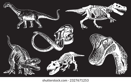 Graphical set of dinosaurs isolated on black background,vector engraved illustration,tattoo  designs.