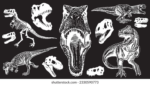 Graphical set of dinosaurs isolated on black background,vector tyrannosaurus,tattoo