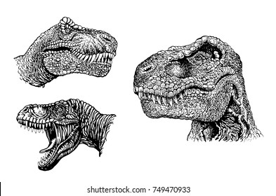 Graphical set of dinosaurs isolated on white background,vector illustration