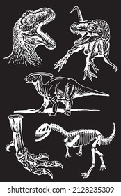 Graphical set of dinosaurs on black background,vector drawing,paleontology