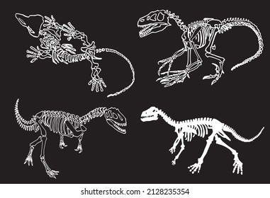 Graphical set of dinosaurs on black background,vector drawing,paleontology