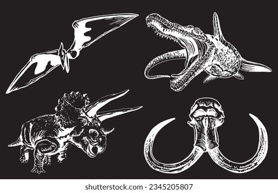 Graphical set of dinosaurs on black background,vector  engraved illustration for tattoo and printing