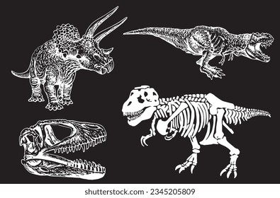 Graphical set of dinosaurs on black background,vector  engraved illustration for tattoo and printing