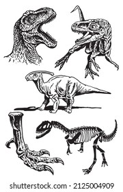 Graphical set of dinosaurs on white background,vector drawing,paleontology