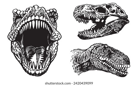 Graphical set of dinosaurs on white background,vector illustration. Science. 