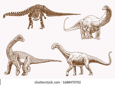 Graphical set of dinosaurs, sepia vector illustration