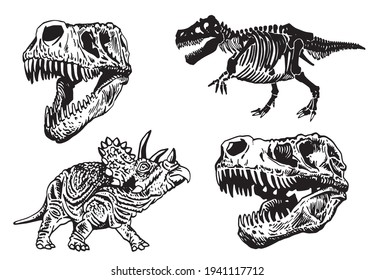 Graphical set of dinosauruses isolated on white ,vector illustration
