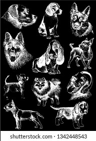 Graphical set of dogs isolated on black background,vector illustration