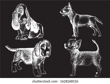 Graphical set of dogs isolated on black background,vector illustration	