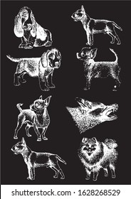 Graphical set of dogs isolated on black background,vector illustration	