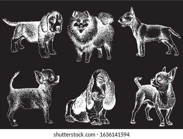 Graphical set of dogs isolated on black background,vector engraved illustration