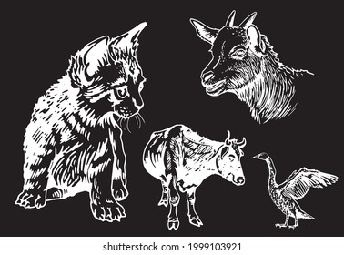 Graphical set of domestic animals on black background,vector engraved illustration