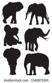 Graphical set of elephant silhouettes  isolated on white background,vector illustration 