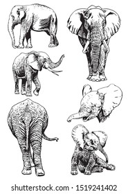 Graphical set of elephants isolated on white background,vector illustration for tattoo ,coloring and printing