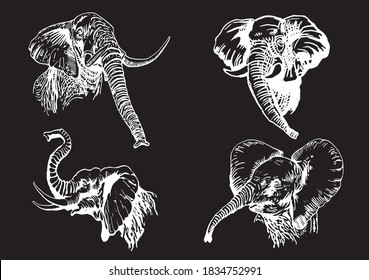 Graphical set of elephants isolated on black background, vector illustration 