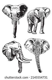 Graphical set of elephants isolated on white background,vector illustration for tattoo ,coloring and printing