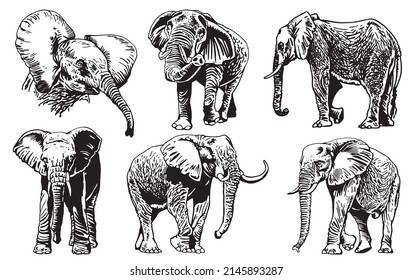 Graphical set of elephants isolated on white background,vector illustration for tattoo ,coloring and printing