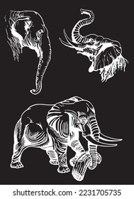 Graphical set of elephants isolated on black background,vector illustration for tattoo ,coloring and printing