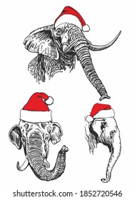 Graphical set of elephants' portraits in Santa Claus hats isolated on white background, vector new year illustration