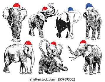 Graphical set of elephants in Santa Claus hats isolated on white background,vector new year illustration
