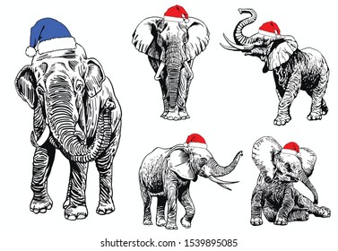 Graphical set of elephants in Santa Claus hats isolated on white background,vector new year illustration